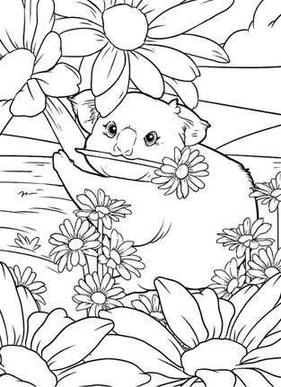 coloring page